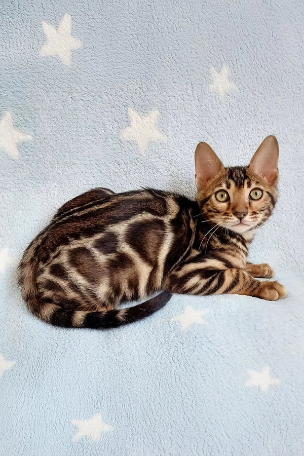 Ramos